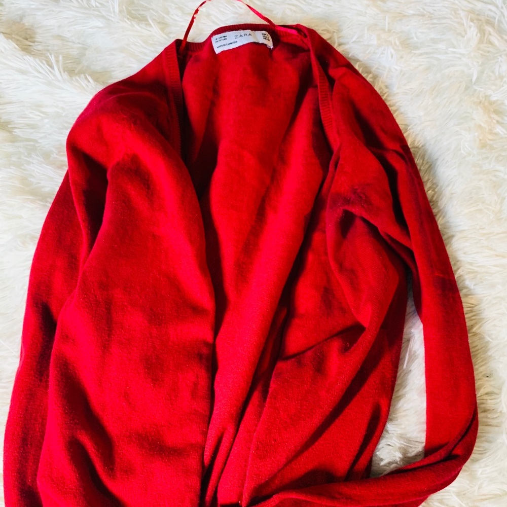 Zara sweater